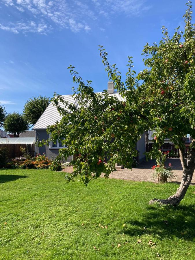 Brivdienu Maja Saulite Ventspils Eksteriør billede